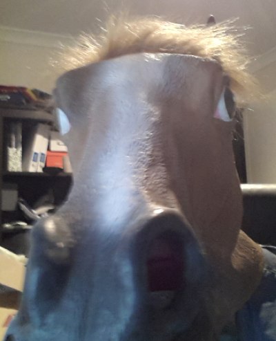 me...in a horse mask :) me...in a horse mask :)